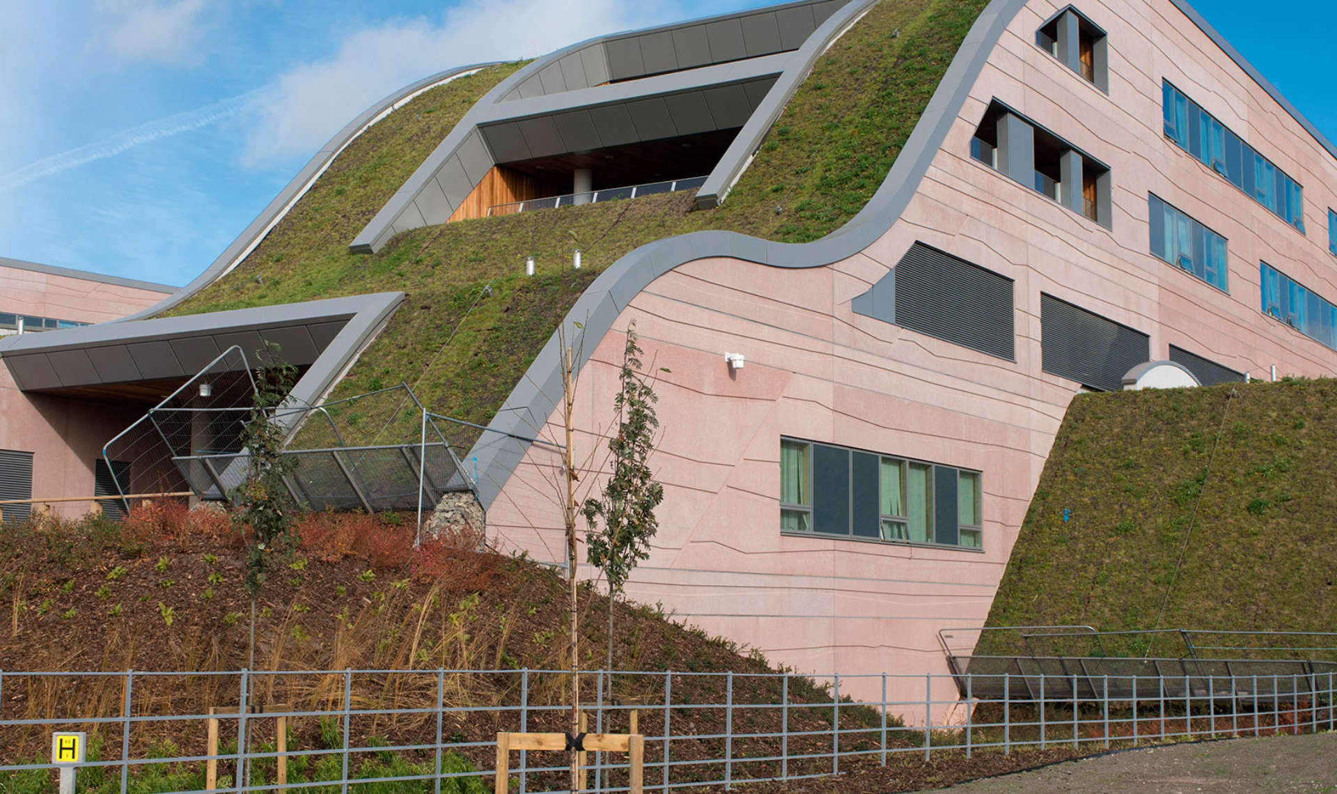 Disciplines | Green Roof Systems